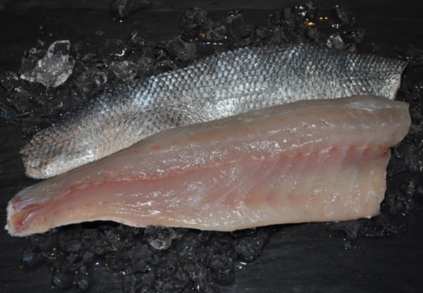 File de robalo
